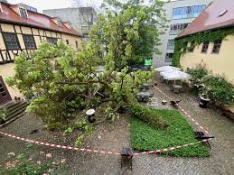 Halle haus е компания, специализирана в проектирането и изграждането на сгради и съоръжения от стоманобетонни и метални конструкции. Handel Haus Handel Festspiele Halle Startseite Facebook