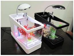 Tersedia dalam beberapa jenis, mulai jebo 501, jebo 502, jebo 503, dan jebo 225. Jual Aquarium Mini Harga Paling Murah Recomended Seller 085641243336