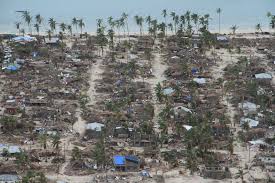 Storm spelled the end of a rare south african coral believed to have been planted in 1871. Tropical Cyclone Eloise Slows After Landfall In Mozambique Moneyweb