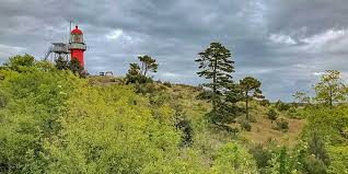 Staatsbosbeheer and the bureau mtd of landscape. The 12 Mountains In The Netherlands