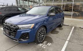 Image result for Navarra Blue 2022 RSQ8