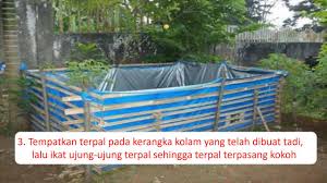 Cara Mudah Membuat Kolam Terpal Ikan Lele Youtube