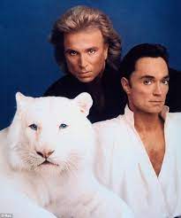 According to las vegas magazine, many of the tigers and lions that appeared on stage with the duo — plus leopards and panthers — are now kept at siegfried & roy's secret garden and dolphin habitat, an attraction at the mirage in las vegas, nev., the same casino where siegfried and roy performed from 1990 to 2003. Siegfried And Roy Enjoy Life Away From Limelight Daily Mail Online