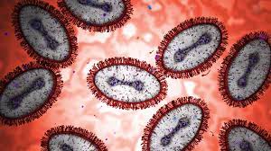 These Pathogens Could Spark the Next Pandemic, Scientists Warn ...