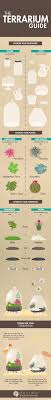 How To Make A Terrarium Quickly And Easily The Whoot How To Make Terrariums Succulent Terrarium Terrarium Diy