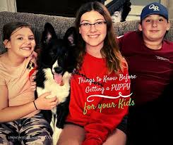 If this sounds like too much, but you still destructive puppy behavior is common, frustrating, and can be dangerous for your dog. Things To Know Before Getting A Puppy For Your Children Livingwithkidsquinte