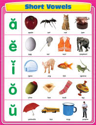 Buy Short Vowels Chart Book Online At Low Prices In India