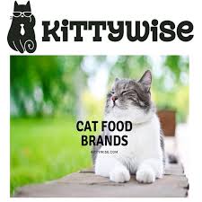 Best Cat Food Best Food Choice With Reviews Cat Jokes Best Cat Food Funny Cat Memes
