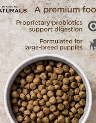 Maybe you would like to learn more about one of these? Diamond Puppy Food Pasteurinstituteindia Com