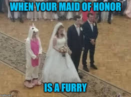 Free wedding stock video footage licensed under creative commons, open source, and more! All Wedding Memes Gifs Imgflip