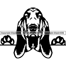 Basset Hound Clipart Black And White Basset Hound Peeking Dog Breed Clipart Svg Clipart Svg Dog Peeking Puppy Clipart Pedigree Dog