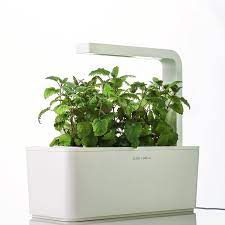 Indoor Herb Garden Kits Review Indoor Herb Garden Kits Center Herb Garden Kit Fresh Herbs Garden Indoor Herb Garden