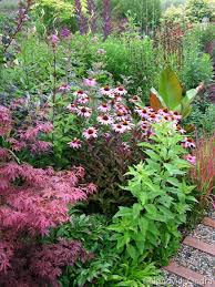 Mixes well with summer wine ninebark. Hayefield