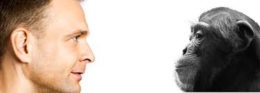 n Science vs. Ev olution Science vs. Ev olution