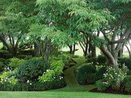 Pin By Rebecca Hornsby On Yardscape Garden Planning Garden Design White Gardens