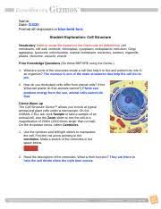 Does anyone know where i can find the download student exploration osmosis gizmo answer key pdf pdf book is a bestseller in this year download or read free speed with limitless. 5 2cellstructure Name Date Format All Responses In Blue Bold Font Student Exploration Cell Structure Vocabulary Refer To Vocab File Located On Course Hero
