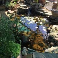 Make social videos in an instant: Photos At Martinson S Garden Works Ridgeland Ms