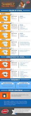 First known use of poop. What S Your Toddler S Poo Telling You Infographic Diaresq