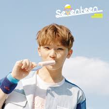 Open description box for information~. Woozi Pledis 17 Wiki Fandom