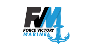 FVM Logo