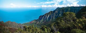 Official website for state of hawaiʻi department of health, disease outbreak control division (docd) travel information. Malama Hawaii Go Hawaii