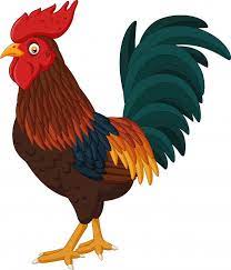 Galo synonyms, galo pronunciation, galo translation, english dictionary definition of galo. Galo De Desenhos Animados Isolado No Fundo Branco Cartoon Rooster Rooster Rooster Art