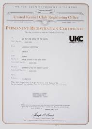 Ukc Store 3 Generation Pedigree