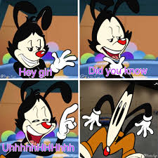 Ego Animaniacs Spoilers On Twitter Animaniacs Yakko Old Cartoons