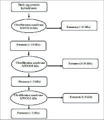 Flow Chart Of Sequential Ultra Filtration Protocol Of Duck