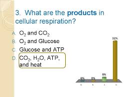 Photosynthesis pogil activities for ap biology answer key. Cellular Respiration Products