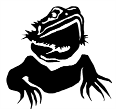 Not Found Baby Bearded Dragon Bearded Dragon Cute Bearded Dragon Colors