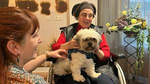 Hondjes bezorgen dementerende ouderen in Hoogeveen lach op het gezicht