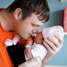 where to buy whole cow with good quality meat?