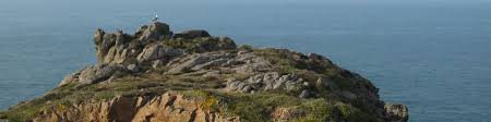 Arriviamo nella royal square, teatro della famosa battaglia di jersey il 6 gennaio 1781, l'ultimo tentativo delle truppe francesi di conquistare l'isola: Jersey Wikitravel