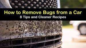 Before applying bugs b gone to your car, you may want to get a car wash to help make stain removal easier and to make the stains themselves more. 8 Brilliant Ways To Remove Bugs From A Car