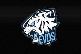 Evos Reborn Rebranding Baru Divisi Pubgm Evos Esports Di 2021 Gambar Keren Desain Logo Game Gambar
