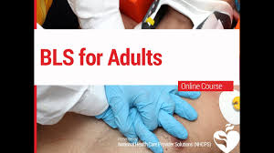 In partnership with the disque foundation, nhcps is proud to offer the most comprehensive free online acls course. Bls Nhcps Bls Introduction Youtube