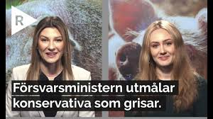 Sverigedemokraternas leder, jimmie åkesson (40), og hans samboer, louise erixon (31), går hver separert: Forsvarsminister Peter Hultqvist Utmalar Konservativa Som Grisar I Kronika Youtube