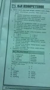 Berikut kumpulan soal ipa kelas 8 smp mts. Ipa Biologi Kls 9 Mohon Jawabannya Brainly Co Id