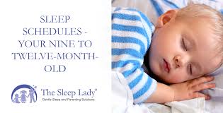At this age, your baby will likely be pretty consistent at taking two naps a day. Baby Sleep Schedule Your Nine To Twelve Month Old
