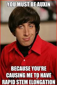 Pick Up Line Scientist Making Plant Bio Jokes Funny Pick Pick Up Lines Math Jokes