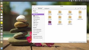 Résultat de recherche d'images pour "ubuntu wallpaper snake skin"