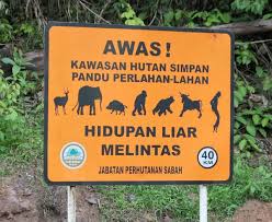 Mengikuti serta menjalankan penguatkuasaan kegiatan perlaksanaan kerja selepas permit dikeluarkan sepertimana yang tersenarai di dalam enakman pemeliharaan hidupan liar 1997. Full List Of Deramakot Forest Mammal Sightings Stephanie Schuttler Ph D