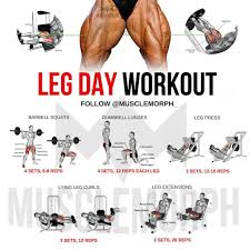 Faite Les Exercices En Complement De Nos Produits Pour Encore Plus De Resultat Musculat Musculation Programme Musculation Jambes Exercice Musculation Haltere