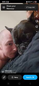 Why are my pet posts being taken down?