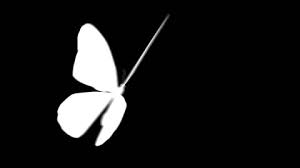 Are you searching for white butterfly png images or vector? Animation Of Movement Of One White Butte Stock Video Pond5