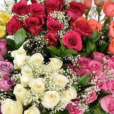 We did not find results for: Pre Made Flower Bouquets Bulk Wholesale Blooms By The Box