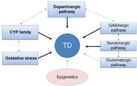 Tardive Dyskinesia - an overview | ScienceDirect Topics