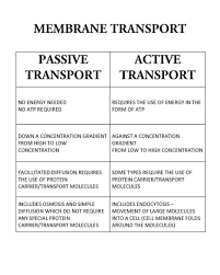 Ap Biology Biochemistry Basics Pogil Answer Key Membrane Transport Mechanisms Biologynotes Biology Biologist Transport Mechanism Human Biochemistry Bio Biology Notes Study Biology Biochemistry Notes