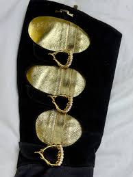 Image result for Gerrardina